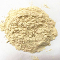 Top Quantity  Dehydrated Roasted Garlic Powder for free sample